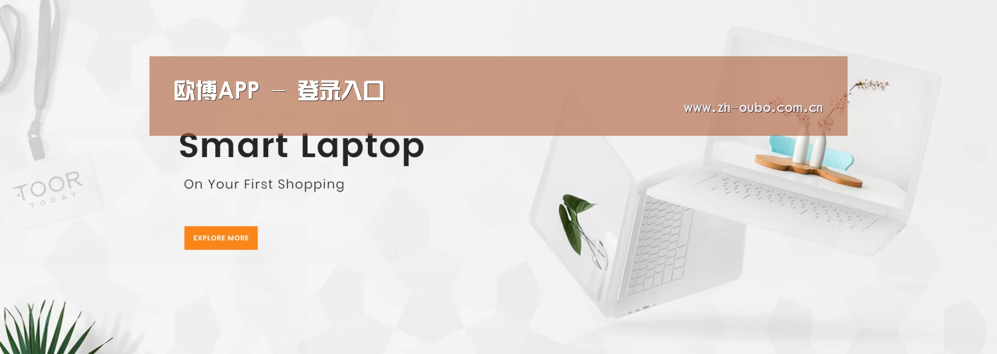 某某网络科技有限公司