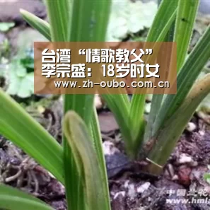 欧博ABG