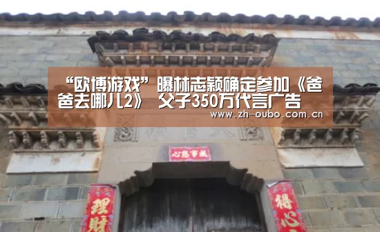 “欧博游戏”曝林志颖确定参加《爸爸去哪儿2》 父子350万代言广告(图3) 欧博游戏