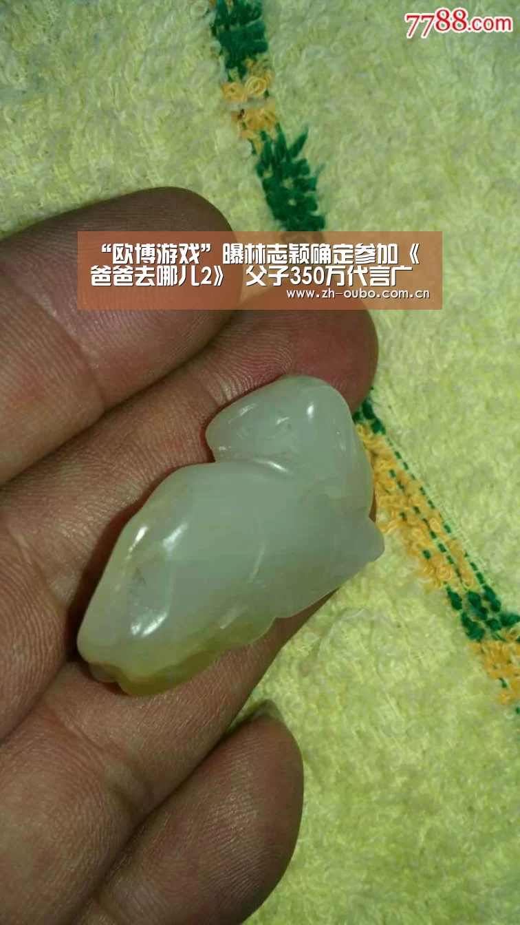 “欧博游戏”曝林志颖确定参加《爸爸去哪儿2》 父子350万代言广告(图4) 欧博游戏