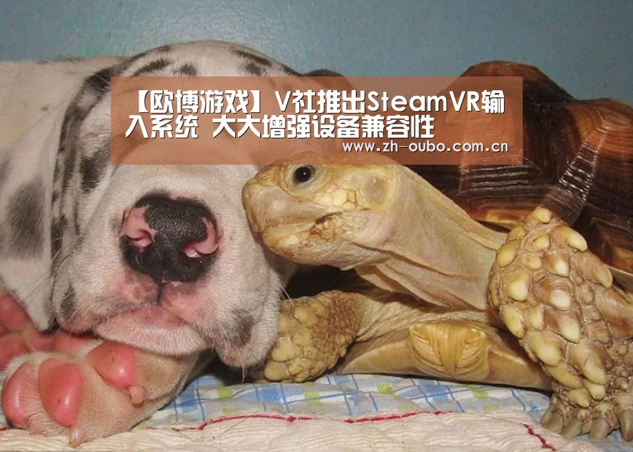 【欧博游戏】V社推出SteamVR输入系统 大大增强设备兼容性(图3) 欧博官网