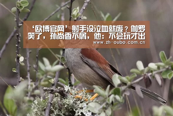 欧博ABG